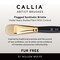 Willow Wolfe Callia Artist Mixed Media Starter Brush Set-Liner, Round, Angle, Flat